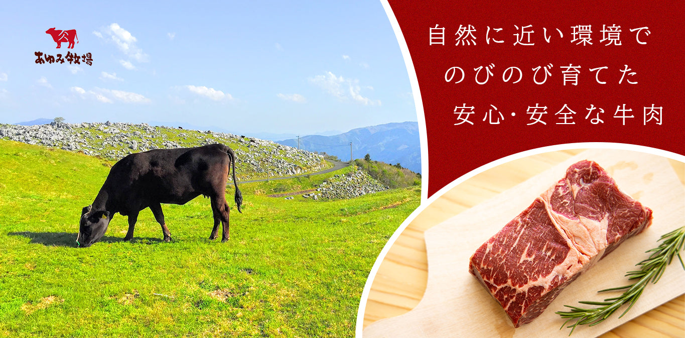 自然に近い環境でのびのび育てた安心安全の牛肉
